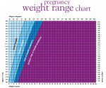 Small image of the Slimming World pregnancy weight range chart