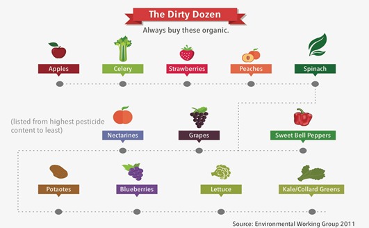 Infographic of The Dirty Dozen, fruit and vegetables best bought organic