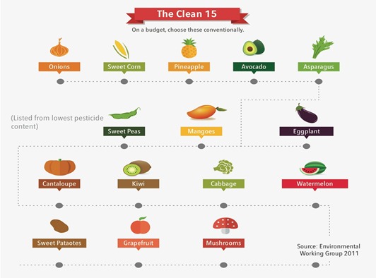 The clean 15 infographic